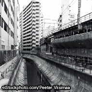 ©iStockphoto.com/Peeter Viisimaa3.jpg